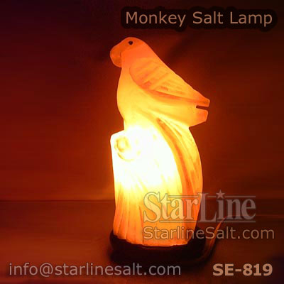 Parrot Salt Lamp